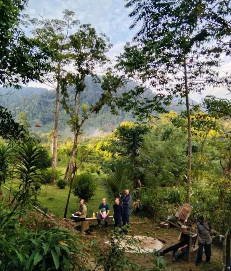 Batu Kapal Guest House & Jungle Trekking Bukit Lawang Exterior foto