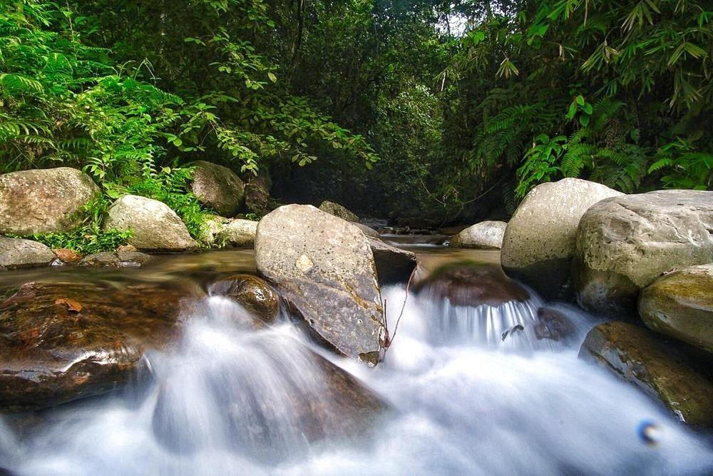 Batu Kapal Guest House & Jungle Trekking Bukit Lawang Exterior foto