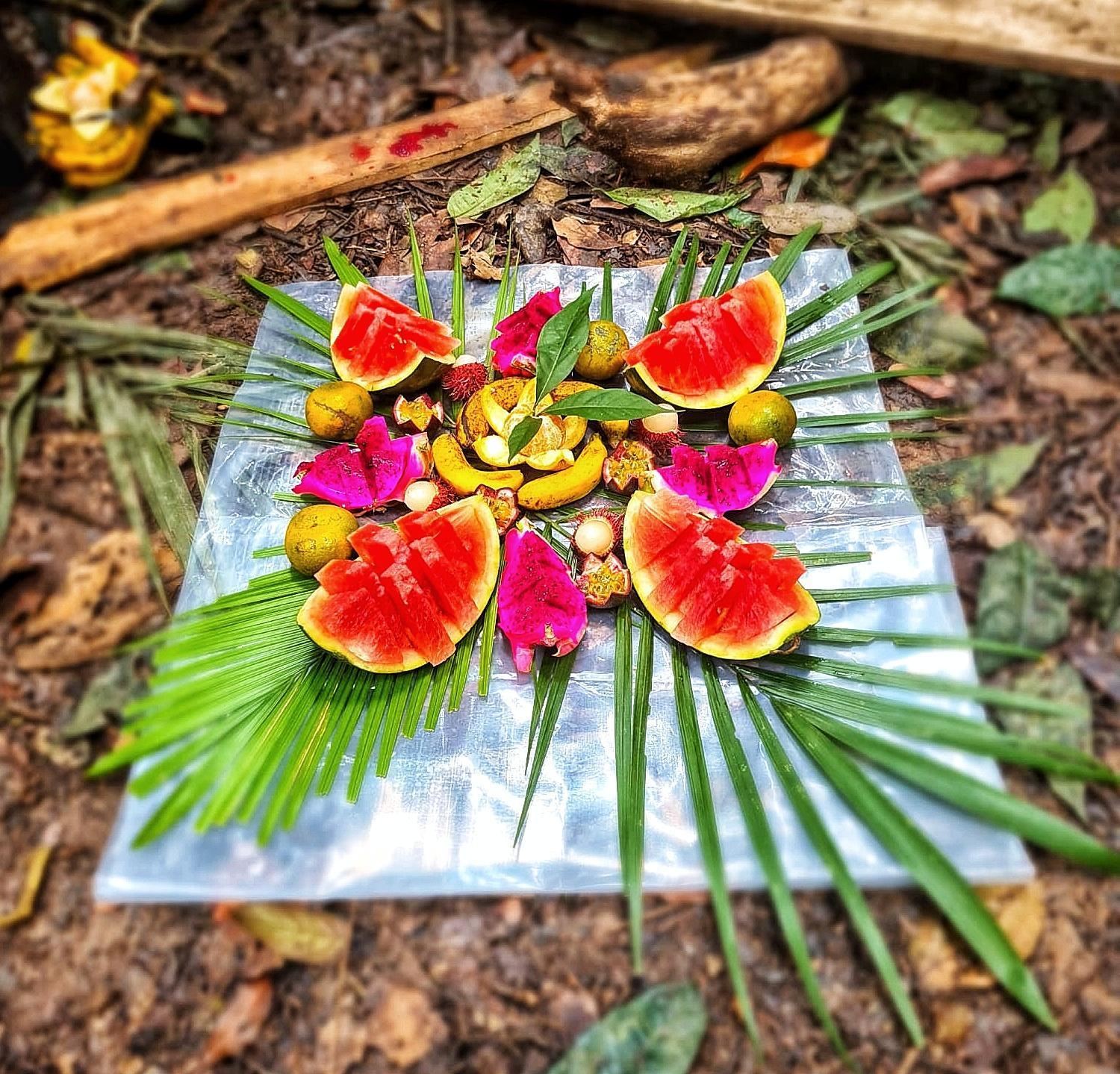 Batu Kapal Guest House & Jungle Trekking Bukit Lawang Exterior foto