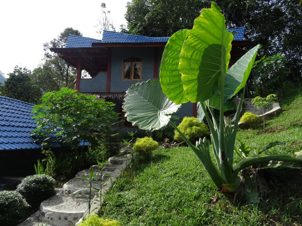Batu Kapal Guest House & Jungle Trekking Bukit Lawang Exterior foto