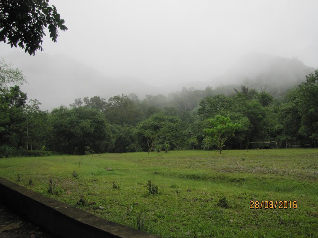 Batu Kapal Guest House & Jungle Trekking Bukit Lawang Exterior foto