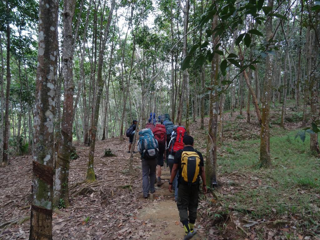 Batu Kapal Guest House & Jungle Trekking Bukit Lawang Exterior foto
